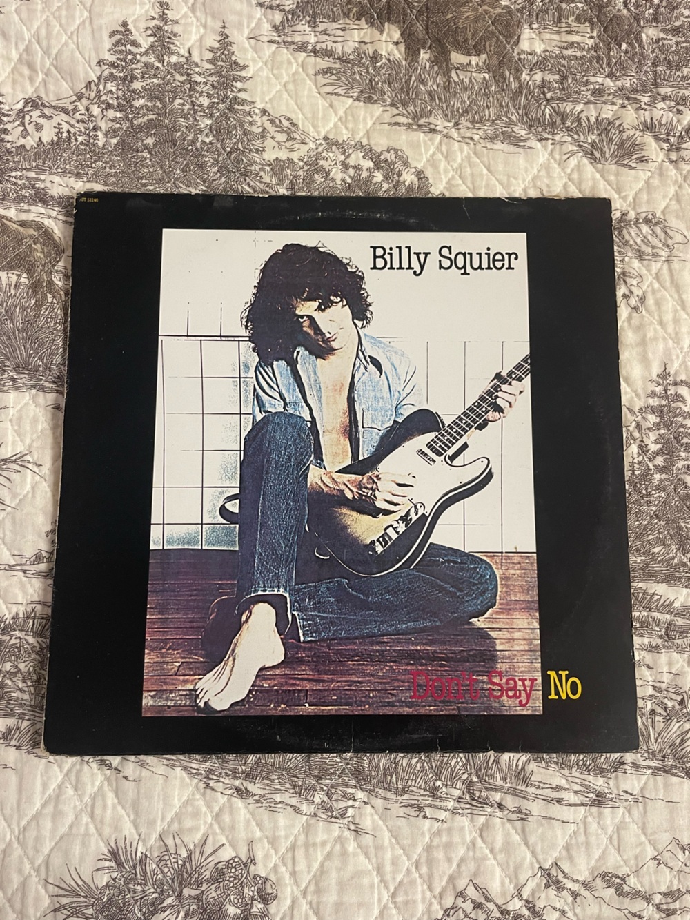 Billy Squier Don’t Say No Vinyl